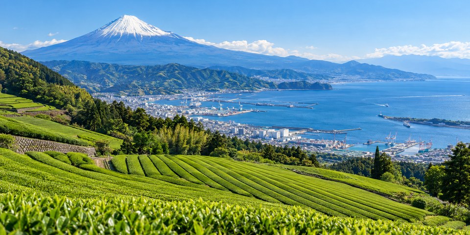 静岡県 富士山・茶畑・駿河湾