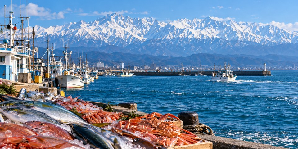富山県 立山・湾・海の幸